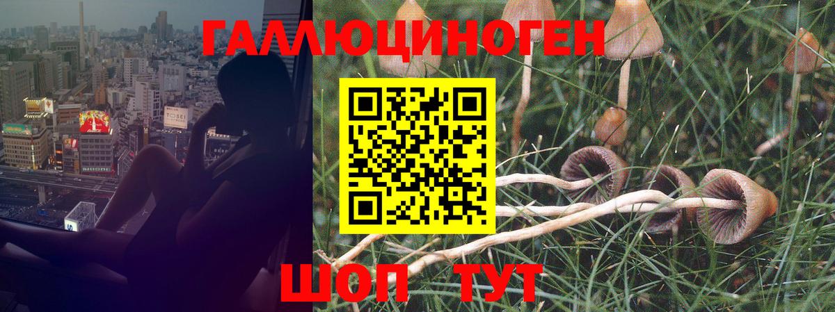 Галлюциногенные грибы MAGIC MUSHROOMS  Вход с VPN  Тобольск 